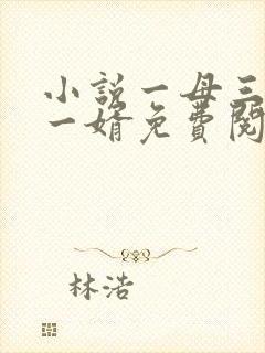小说一母三女共一婿免费阅读封面
