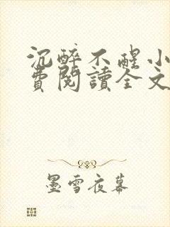 沉醉不醒小说免费阅读全文无弹窗