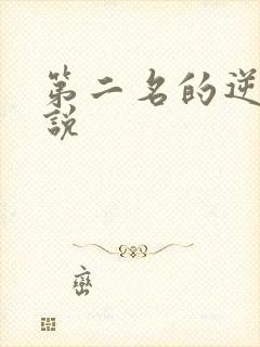 第二名的逆袭小说