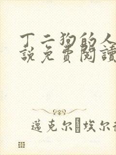 丁二狗的人生小说免费阅读全文
