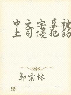 中文字幕被丈夫上司侵犯的人妻封面