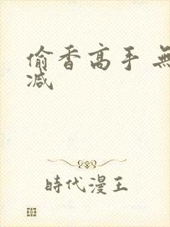 偷香高手 无删减封面