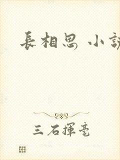 长相思 小说