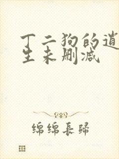 丁二狗的逍遥人生未删减封面