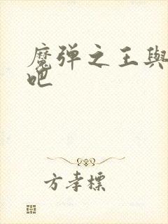 魔弹之王与战姬吧