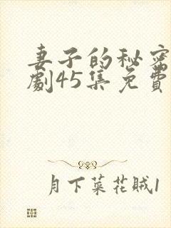 妻子的秘密电视剧45集免费观看封面