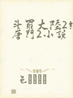斗罗大陆2绝世唐门2小说