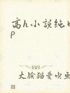 高h小说纯肉np封面