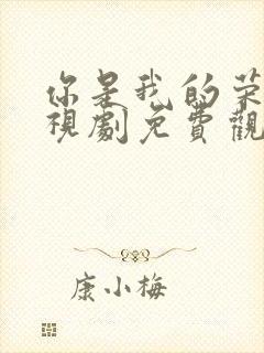 你是我的荣耀电视剧免费观看高清