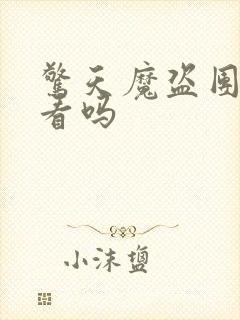 惊天魔盗团三好看吗