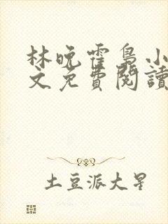 林晚霍枭小说全文免费阅读最新章节