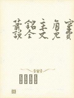 萧铭主角穿越小说全文免费阅读封面