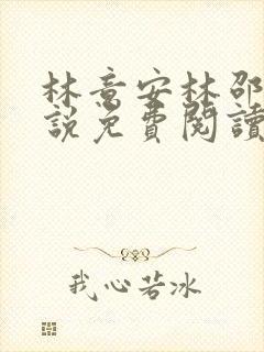 林意安林邵民小说免费阅读最新章节