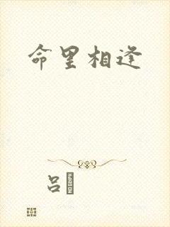 命里相逢封面