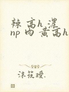 辣 高h 浓 np 肉 黄高h
