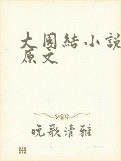 大团结小说阅读原文