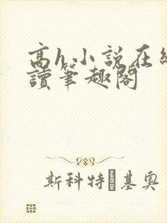 高h小说在线阅读笔趣阁