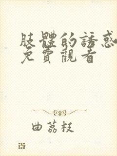 肢体的诱惑在线免费观看