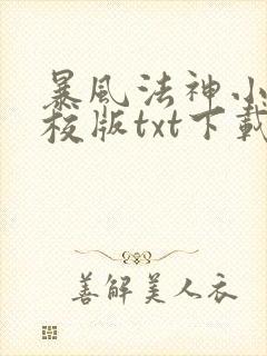 暴风法神小说精校版txt下载