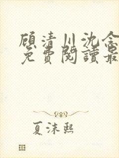 顾清川沈念小说免费阅读最新章节