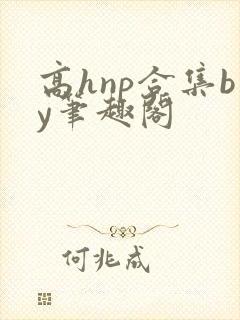 高hnp合集by笔趣阁