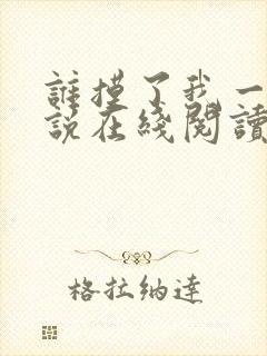 谁摸了我一下小说在线阅读