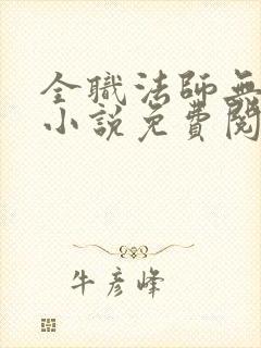 全职法师无弹窗小说免费阅读