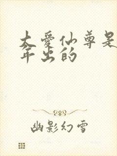 大爱仙尊是哪一年出的封面