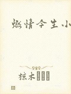 燃情今生小说