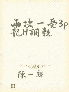 两攻一受3p双龙H调教封面