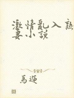 激情乱入熟妇人妻小说