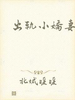 出轨小娇妻