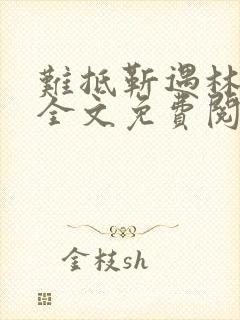 难抵靳遇林慕里全文免费阅读封面