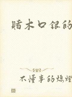 赌木口银的小说封面