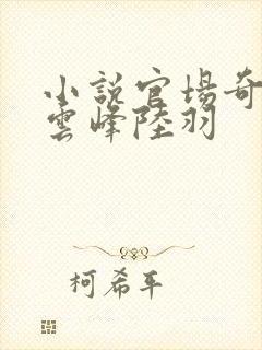 小说官场奇才刘云峰陆羽