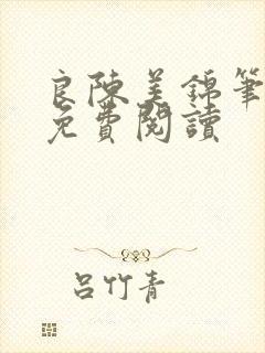 良陈美锦笔趣阁免费阅读封面