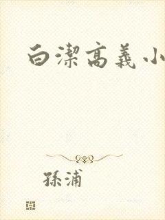 白洁高义小说封面