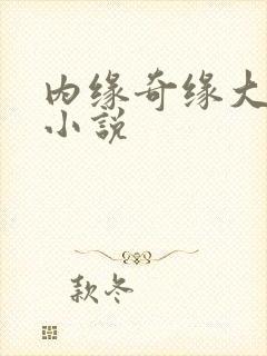 内缘奇缘大团圆小说