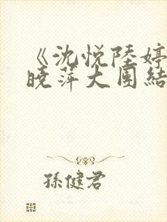 《沈悦陆婷婷江晓萍大团结》封面