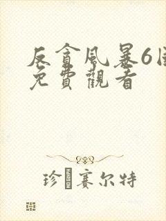 反贪风暴6国语免费观看