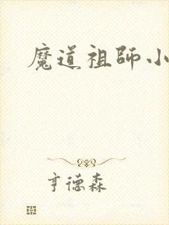 魔道祖师小说