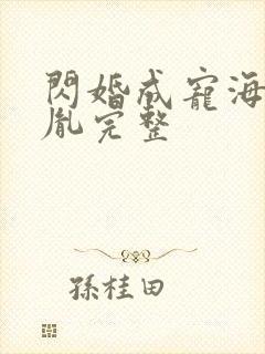 闪婚成宠海彤战胤完整