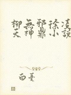 柳无邪徐凌雪吞天神鼎小说