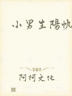 小男生阳帆封面