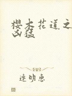 樱木花道之重生凶猛