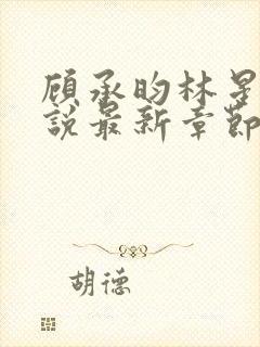 顾承昀林星禾小说最新章节免费阅读