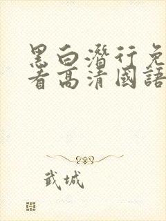 黑白潜行免费观看高清国语版全集封面