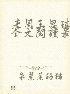 老周王思琪小说全文阅读最新章节更