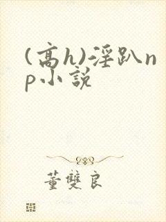 (高h)淫趴np小说