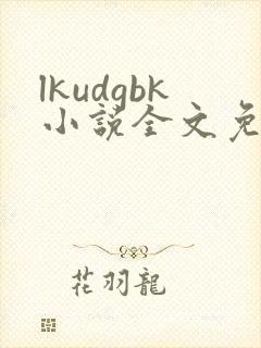 lkudgbk小说全文免费阅读笔趣阁无弹窗